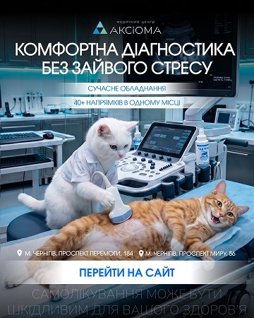 Портфоліо робіт