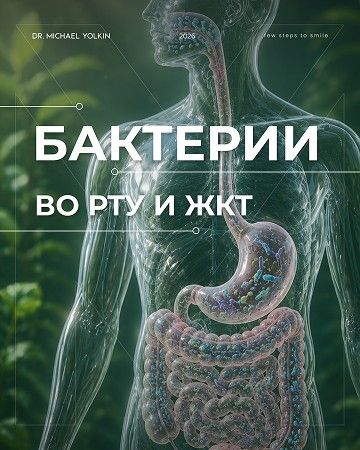 Портфолио наших работ