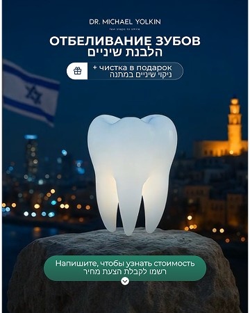 Портфолио наших работ