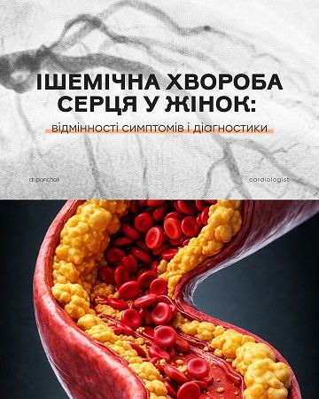 Приклади наших робіт